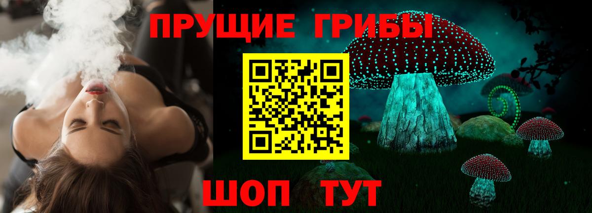 Галлюциногенные грибы прущие грибы  Вход с VPN  как найти наркотики  Новосибирск 